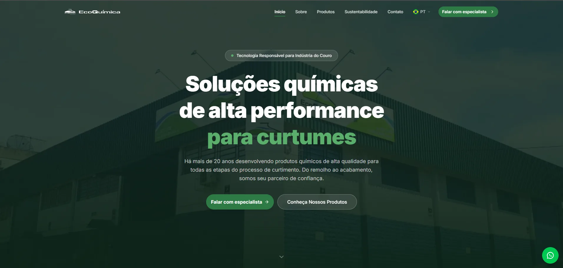 Ecoquímica screenshot